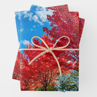 Heldere rode bladeren in de herfst inpakpapier vel