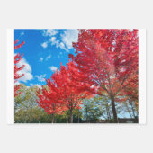 Heldere rode bladeren in de herfst inpakpapier vel (Voorkant)