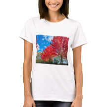 Heldere rode bladeren in de herfst