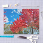 Heldere rode bladeren in de herfst tissuepapier (Craft)