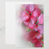 heldere rode folders briefpapier (Voorkant / Achterkant)