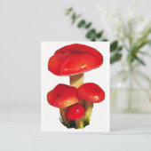 Heldere rode paddenstoelen: Kunst voor oliepastel  Briefkaart (Staand voorkant)