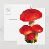 Heldere rode paddenstoelen: Kunst voor oliepastel  Briefkaart (Voorkant / Achterkant)