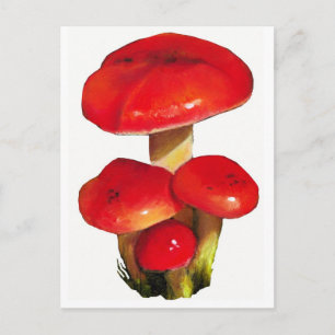 Heldere rode paddenstoelen: Kunst voor oliepastel  Briefkaart