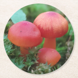Heldere rode paddenstoelen op bosbodem ronde kartonnen onderzetter
