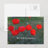 Heldere rode papavers briefkaart (Voorkant / Achterkant)