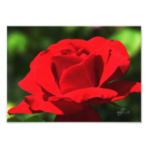 Heldere rode rog foto afdruk