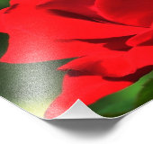 Heldere rode rog foto afdruk (Hoek)