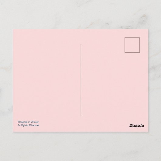 Heldere Rode Rozebottel in de Sneeuw van de Winter Briefkaart (Achterkant)