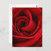 Heldere rode rozendichte briefkaart (Voorkant / Achterkant)