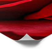 Heldere rode rozendichte poster (Hoek)