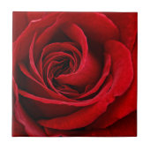 Heldere rode rozendichte tegeltje (Voorkant)