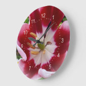 heldere rode tulp grote klok (Hoek)