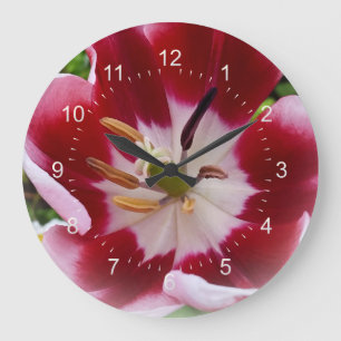heldere rode tulp grote klok