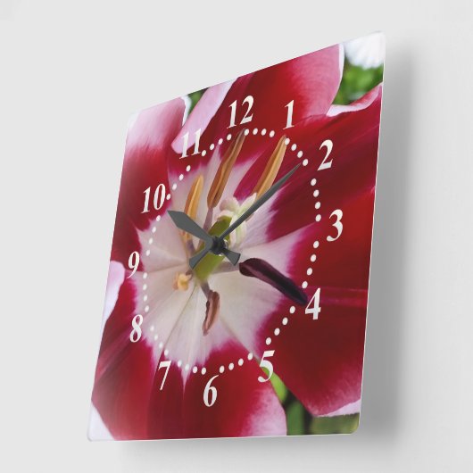 heldere rode tulp vierkante klok (Hoek)