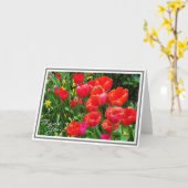 Heldere rode tulpen tegen groene olie kaart (Gele Bloem)