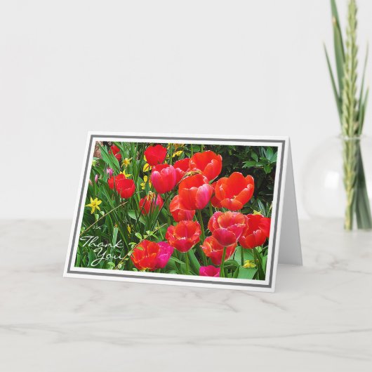 Heldere rode tulpen tegen groene olie kaart (Voorkant)