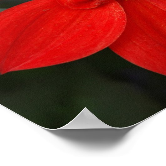 Heldere rode ventilator poster (Hoek)