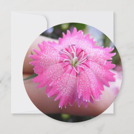 Heldere roze bloem met vlekken kaart (Voorkant)