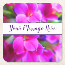 Heldere roze bloemen roze magenta Paars