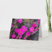 Heldere roze cactus bloem | Denken aan je gewoonte Kaart (Voorkant)