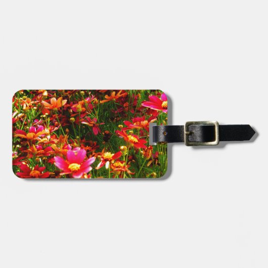 Heldere roze en gele Daisy Wilde bloemen Bagagelabel (Voorkant horizontaal)