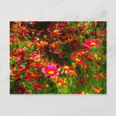 Heldere roze en gele Daisy Wilde bloemen Briefkaart (Voorkant)