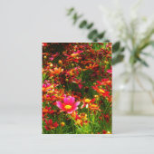 Heldere roze en gele Daisy Wilde bloemen Briefkaart (Staand voorkant)