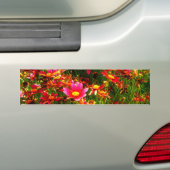 Heldere roze en gele Daisy Wilde bloemen Bumpersticker (Op auto)