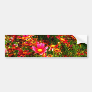 Heldere roze en gele Daisy Wilde bloemen Bumpersticker