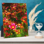 Heldere roze en gele Daisy Wilde bloemen Fotoplaat (Zijkant)