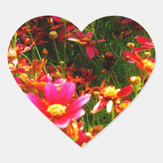 Heldere roze en gele Daisy Wilde bloemen Hart Sticker (Voorkant)