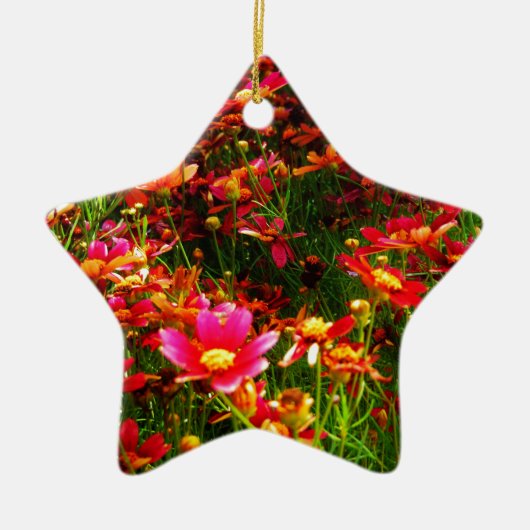 Heldere roze en gele Daisy Wilde bloemen Keramisch Ornament (Voorkant)