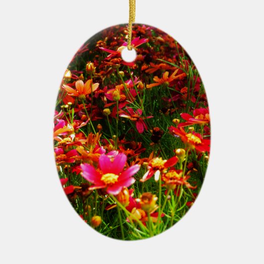 Heldere roze en gele Daisy Wilde bloemen Keramisch Ornament (Voorkant)
