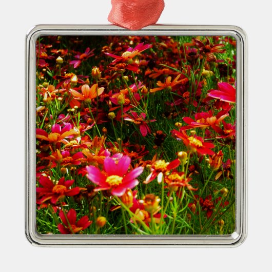Heldere roze en gele Daisy Wilde bloemen Metalen Ornament (Voorkant)