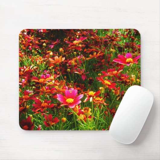 Heldere roze en gele Daisy Wilde bloemen Muismat (Met muis)