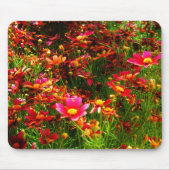 Heldere roze en gele Daisy Wilde bloemen Muismat (Voorkant)