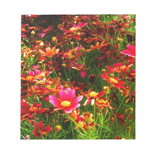 Heldere roze en gele Daisy Wilde bloemen Notitieblok (Voorkant)