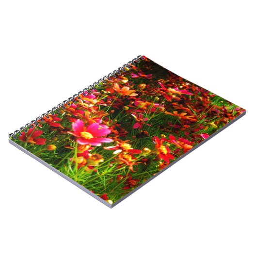 Heldere roze en gele Daisy Wilde bloemen Notitieboek (Linkerzijde)