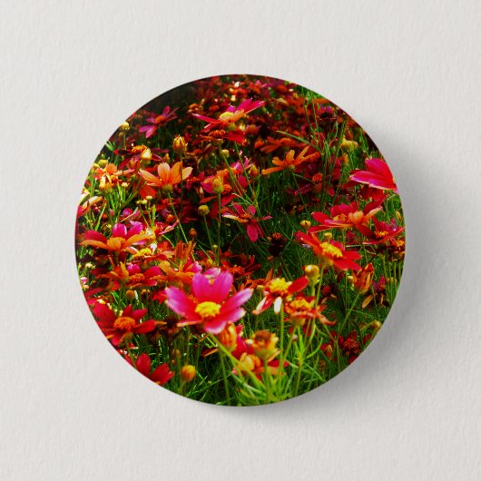 Heldere roze en gele Daisy Wilde bloemen Ronde Button 5,7 Cm (Voorkant)