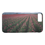 Heldere roze en rode tulpen gloeien onder donker Case-Mate iPhone case (Achterkant (Horizontaal))