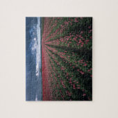 Heldere roze en rode tulpen gloeien onder donker legpuzzel (Verticaal)