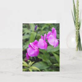 Heldere Roze Hawaiiaanse Bloemen Gevouwen Wenskaar Kaart