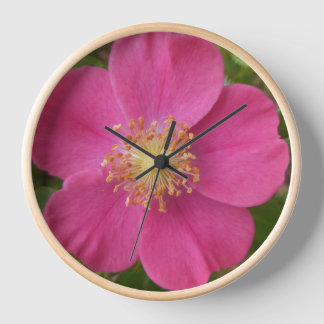 Heldere Roze Roze Bloem Foto Muur Klok