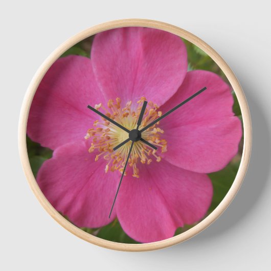 Heldere Roze Roze Bloem Foto Muur Klok (Voorkant)