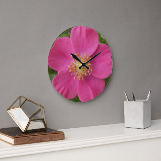 Heldere Roze Roze Wandklok