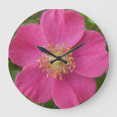 Heldere Roze Roze Wandklok (Voorkant)