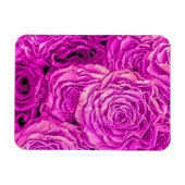Heldere roze rozen magneet (Horizontaal)