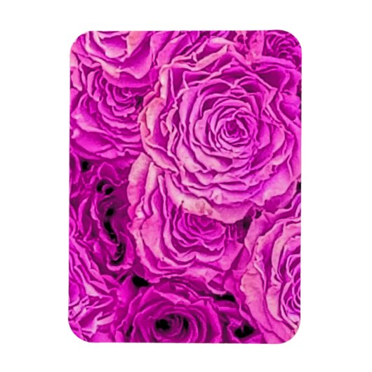 Heldere roze rozen magneet (Verticaal)