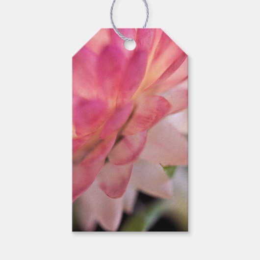 Heldere roze strobloem cadeaulabel (Voorkant)